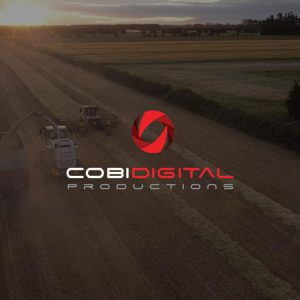 COBi Digital Productions Logo Design