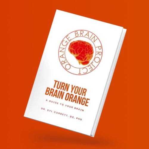 Orange Brain Project - book promotional website